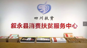 消費扶貧助力脫貧攻堅 勞務服務的創新路徑與深遠影響