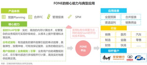 epm業(yè)財一體風(fēng)頭漸起 ,fone如何突破財務(wù)數(shù)字化的邊界